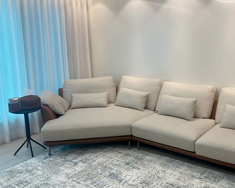 Pillowtalk Sofa Detail View