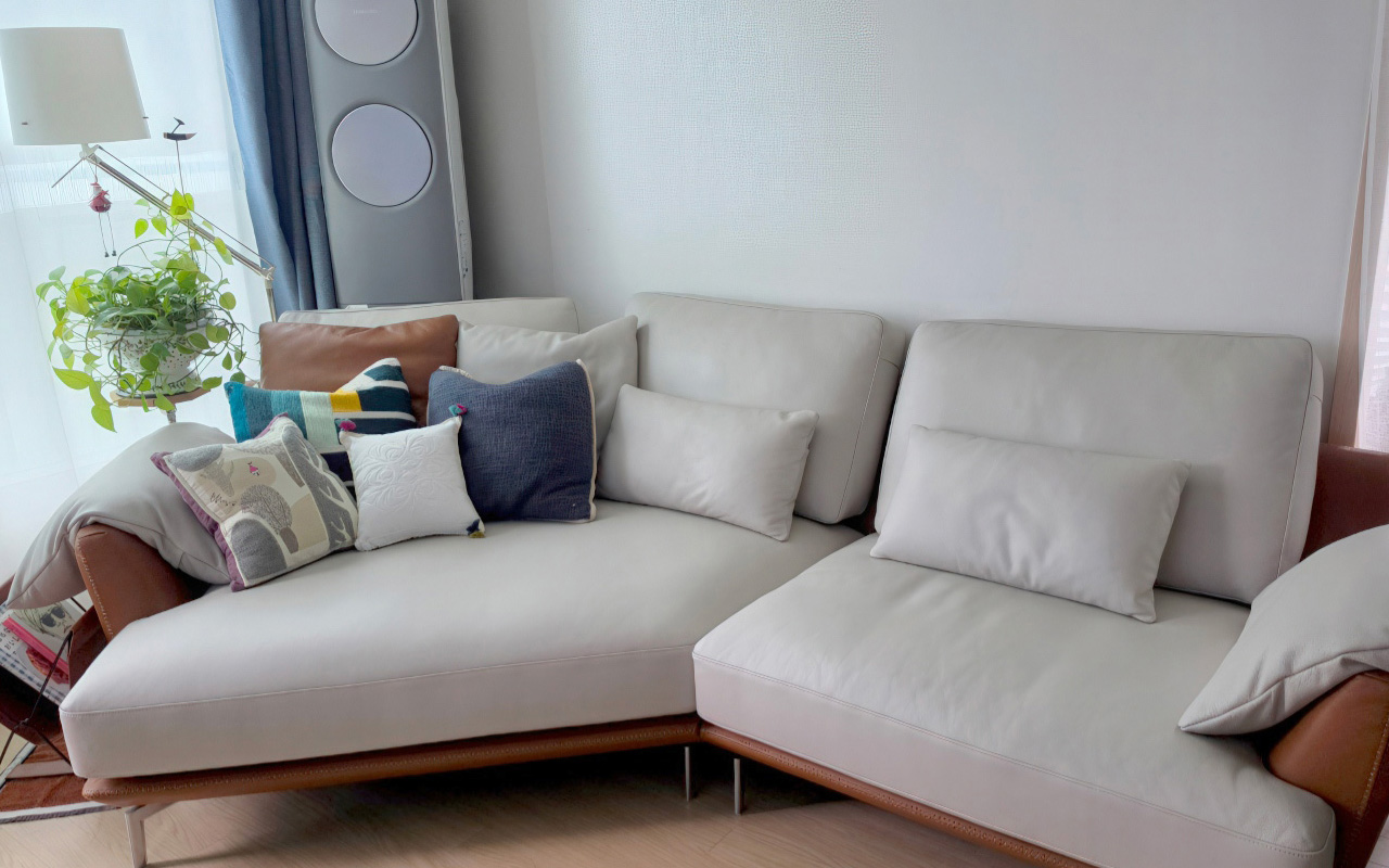 Pillowtalk Sofa Side View